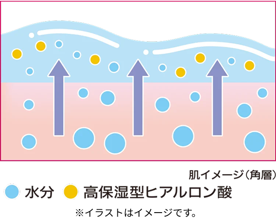 肌イメージ(角層)　水分　高保湿型ヒアルロン酸　※イラストはイメージです。