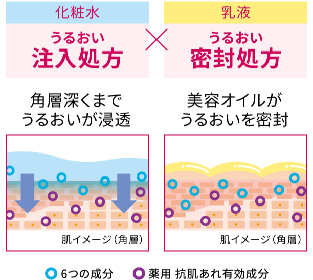 化粧水 うるおい注入処方 角層深くまでうるおいが浸透 乳液 うるおい密封処方 美容オイルがうるおいを密封 6つの成分薬用 抗肌あれ有効成分