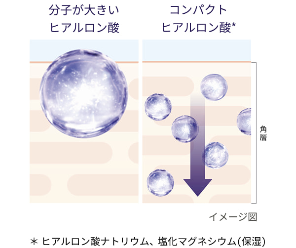 分子が大きいヒアルロン酸 コンパクトヒアルロン酸* ＊ヒアルロン酸ナトリウム、塩化マグネシウム（保湿）