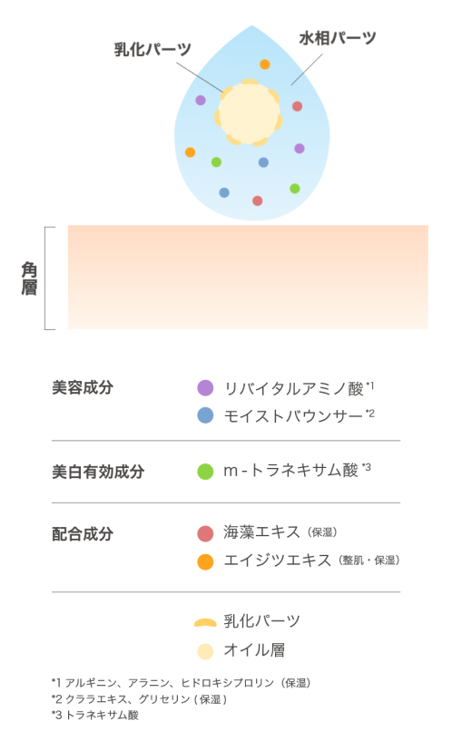 ラッピングテクノロジーのメカニズム