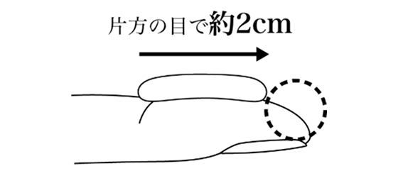 片方の目で約2cm ステップ画像