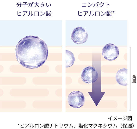 イメージ図