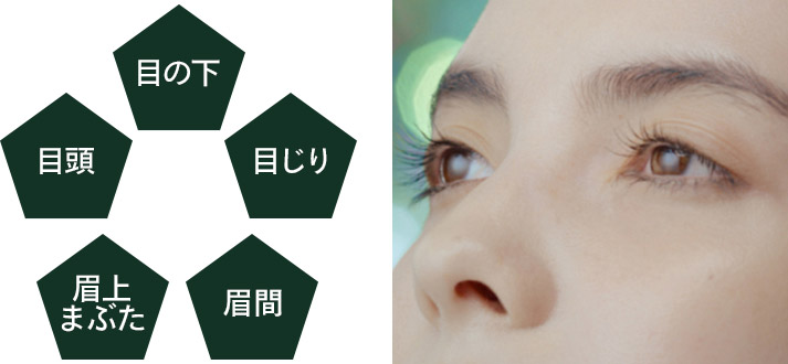 目頭 目の下 目じり 眉間 眉上まぶた 画像