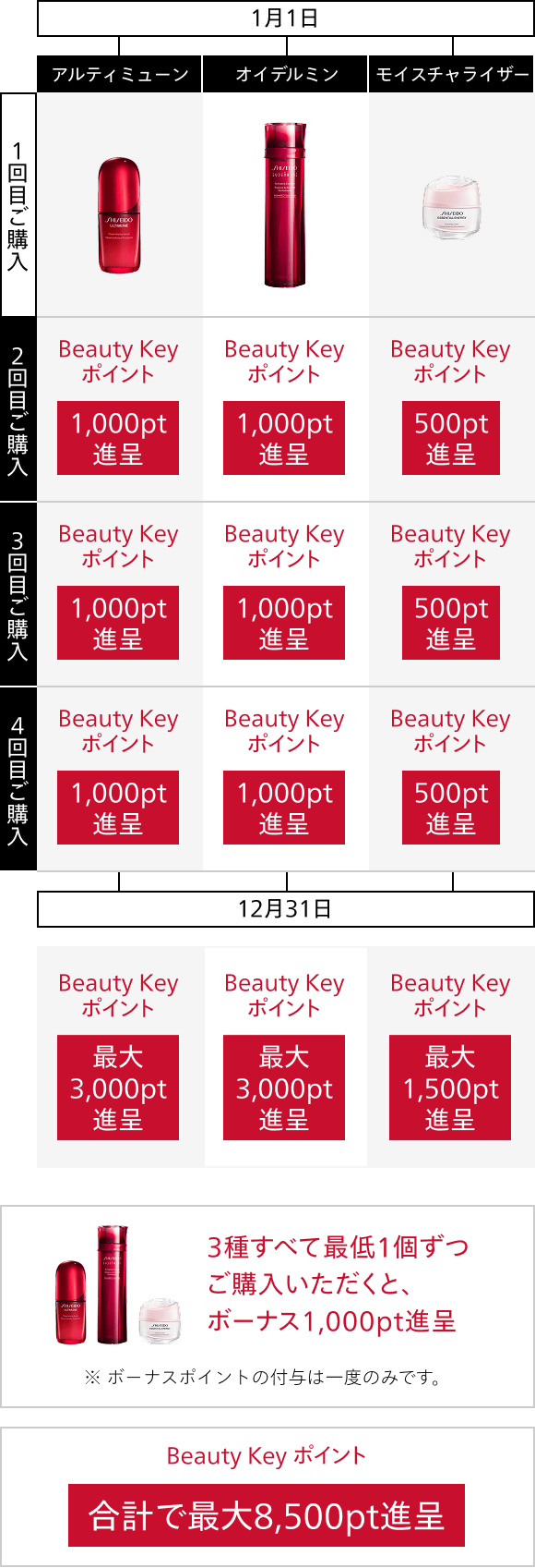 継続プログラムポイント付与ルールの表