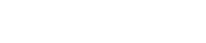 ITEM LINE UP