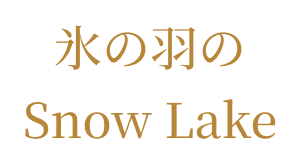 氷の羽のSnow Lake