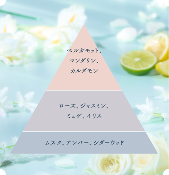 香りの構造