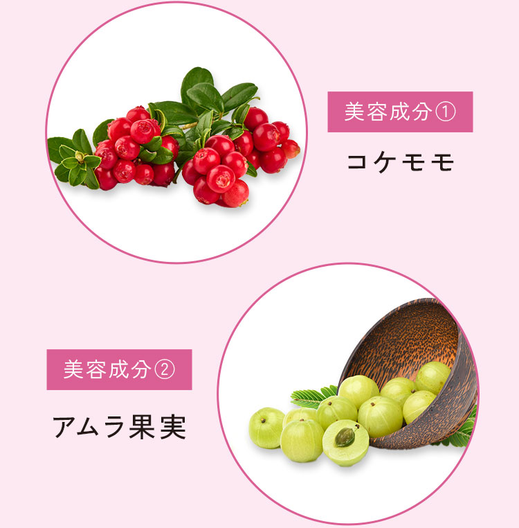 美容成分①コケモモ 美容成分②アムラ果実