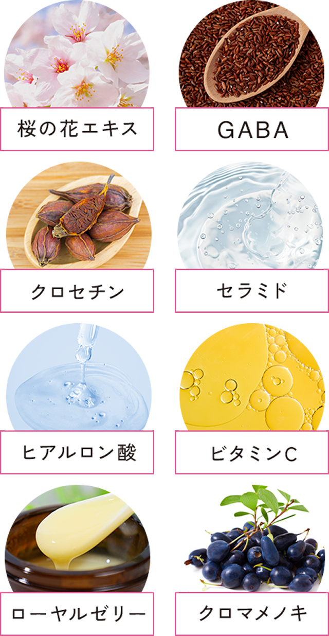 美容サポート成分一覧