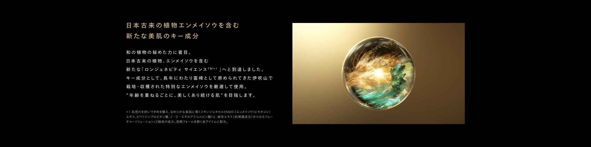 SHISEIDO フューチャーソリューションLX