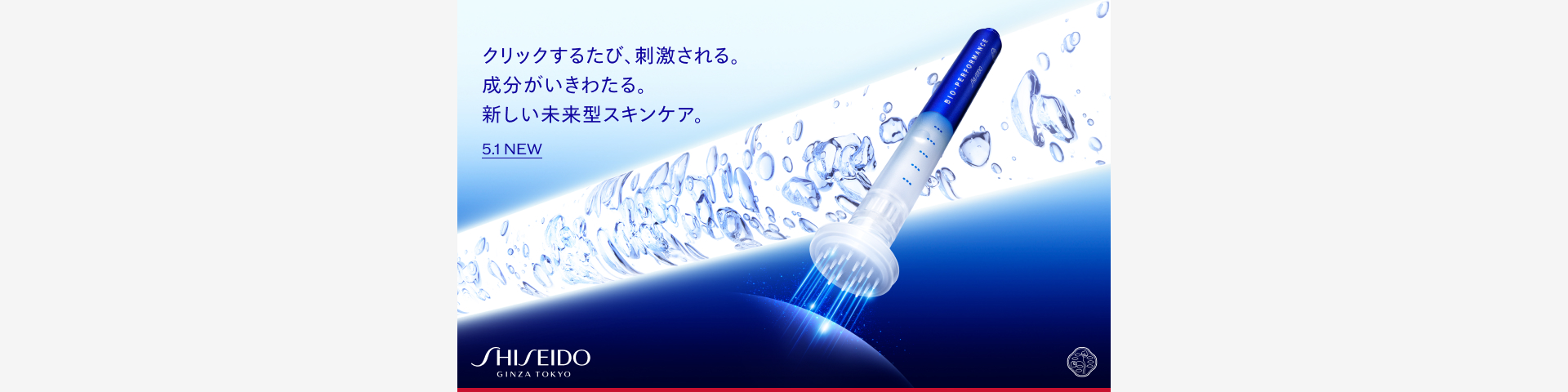 SHISEIDO