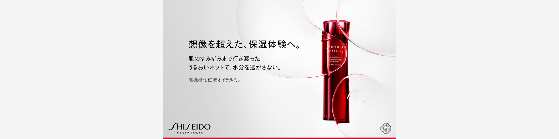 SHISEIDO