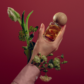 BAUM オリジナルギフトセレクション