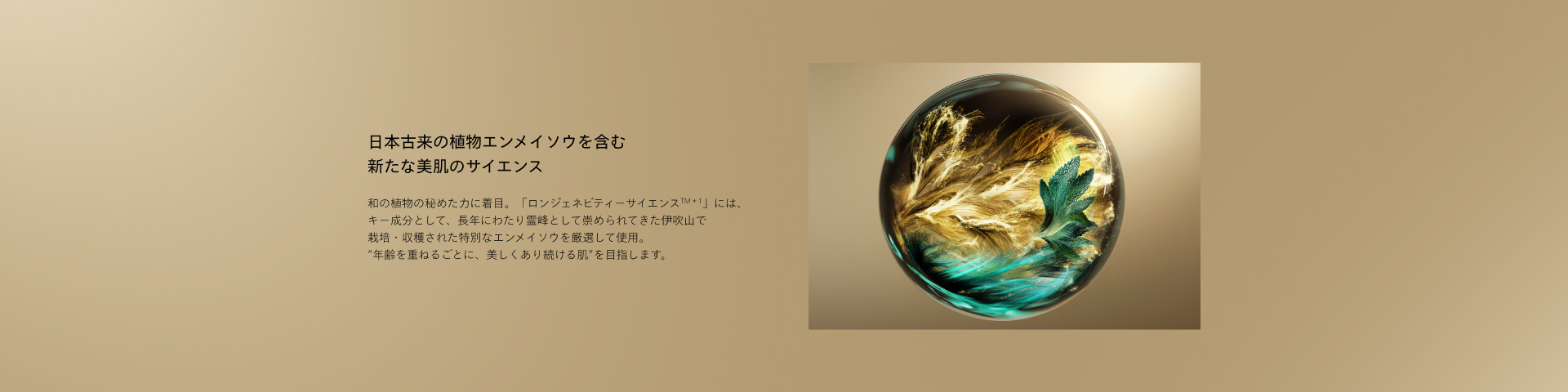 SHISEIDO フューチャーソリューションLX