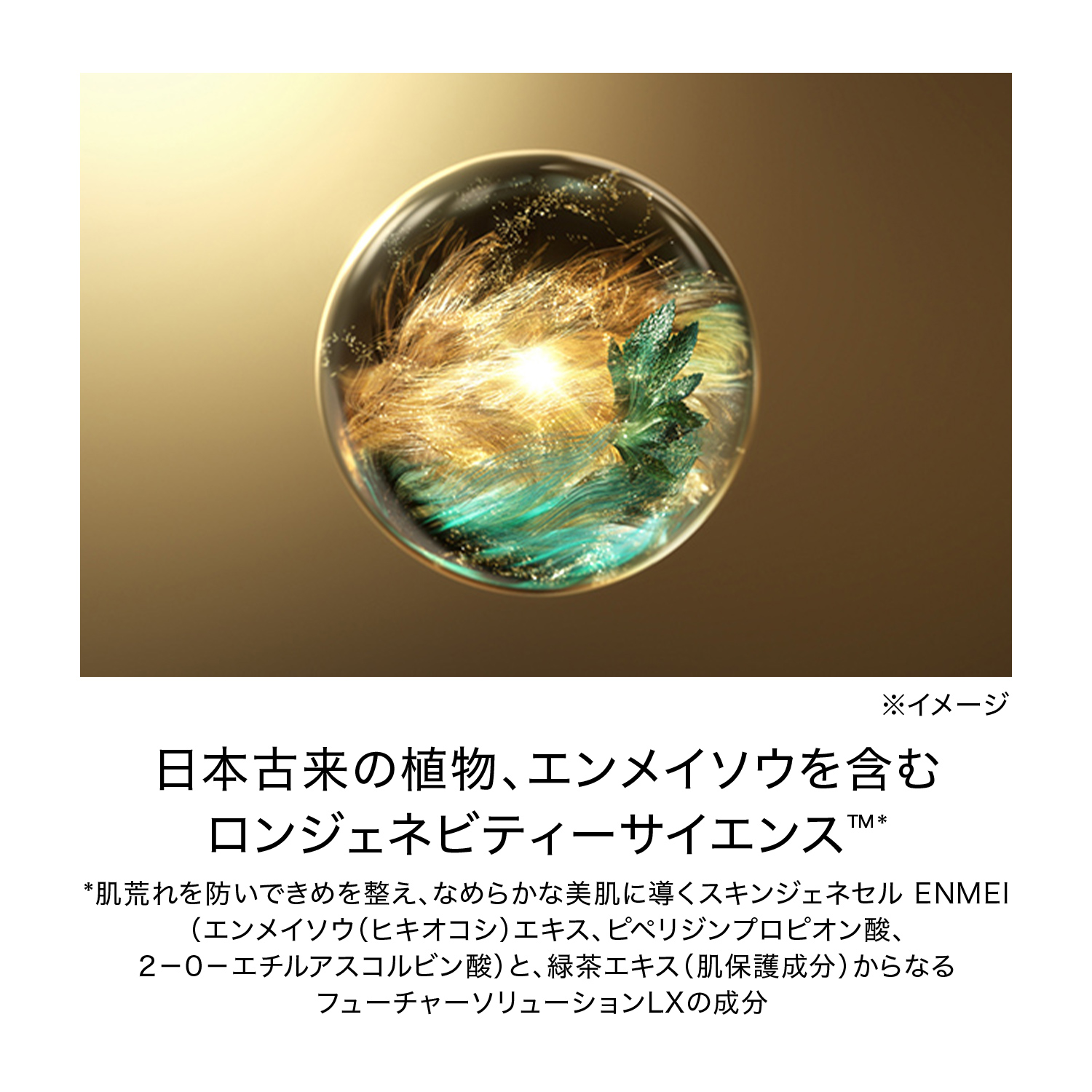SHISEIDO フューチャーソリューション LX｜アイ アンド リップコントア