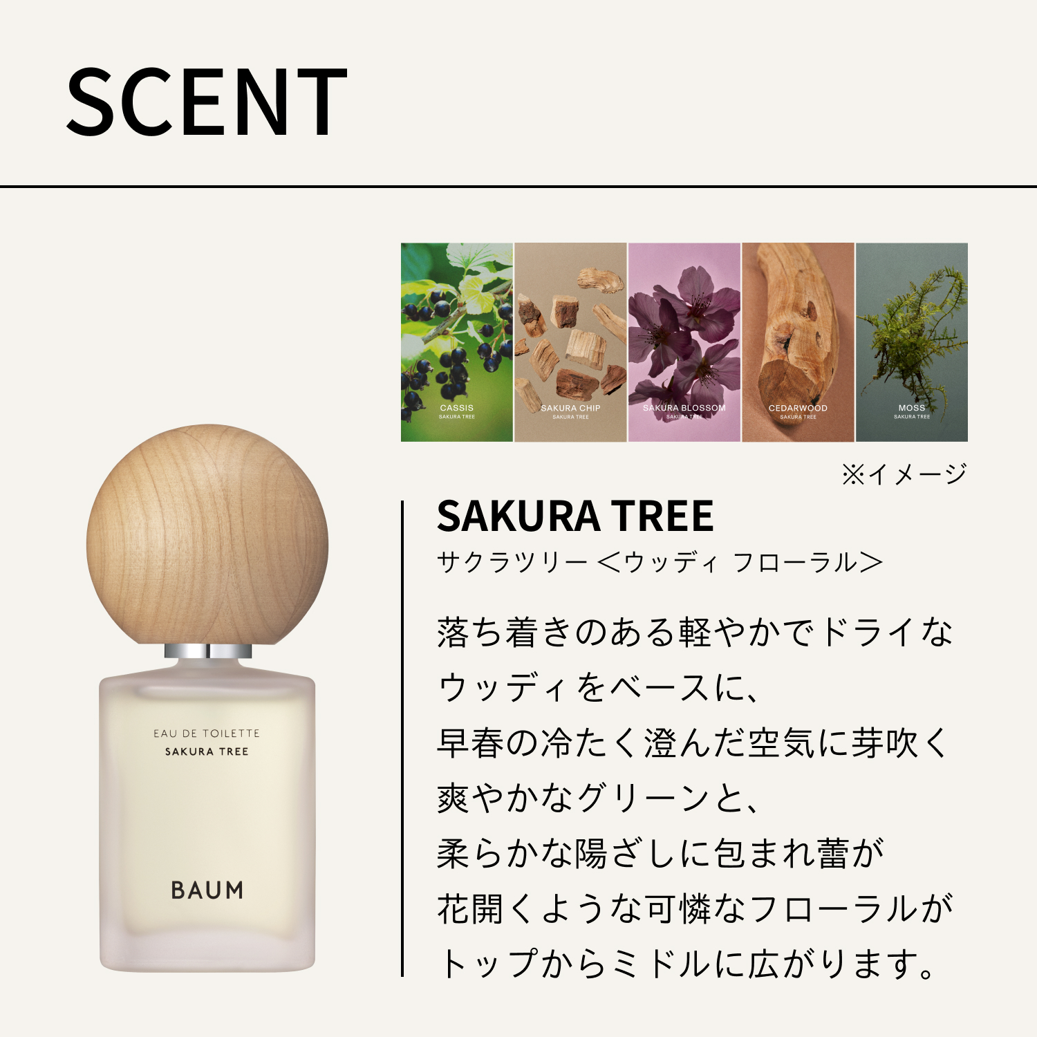 BAUM サクラツリー オードトワレ 60ml オードトワレ / BAUM(香水, 香水・ヘアフレグランス)の通販 - アット