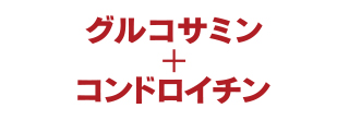 グルコサミン＋コンドロイチン