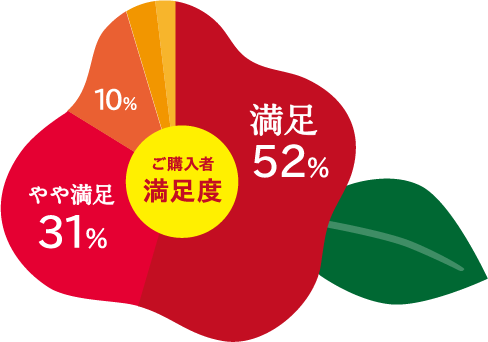 ご購入者満足度：満足52%、やや満足31%、どちらともいえない10%